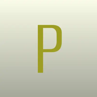 Pitstop24, сеть автокомплексов, лого-визитка