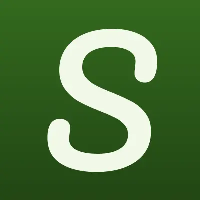 Софт регион, лого-визитка